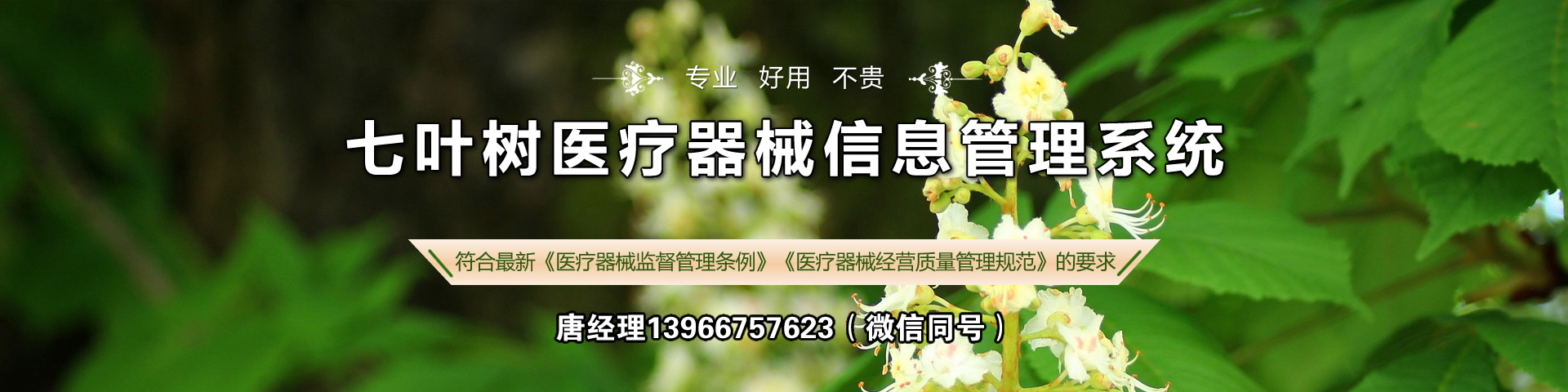 �Ϻ����~�y�T(m��n)�������޹�˾